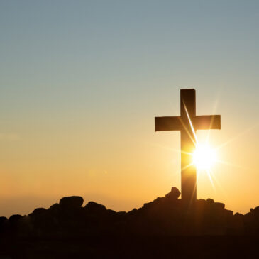 VIA CRUCIS CADREZZATE CON OSMATE